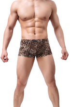 Load image into Gallery viewer, Leopard Brown Animal Print Sexy Low Rise Briefs