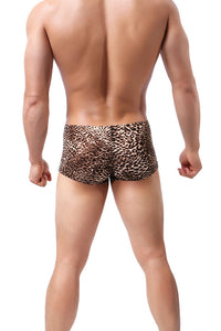 Leopard Brown Animal Print Sexy Low Rise Briefs